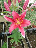 [4293 Kings Cross DJ No02.JPG]